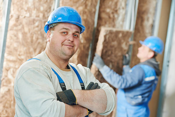 Best Insulation Replacement Services  in Cascades, VA